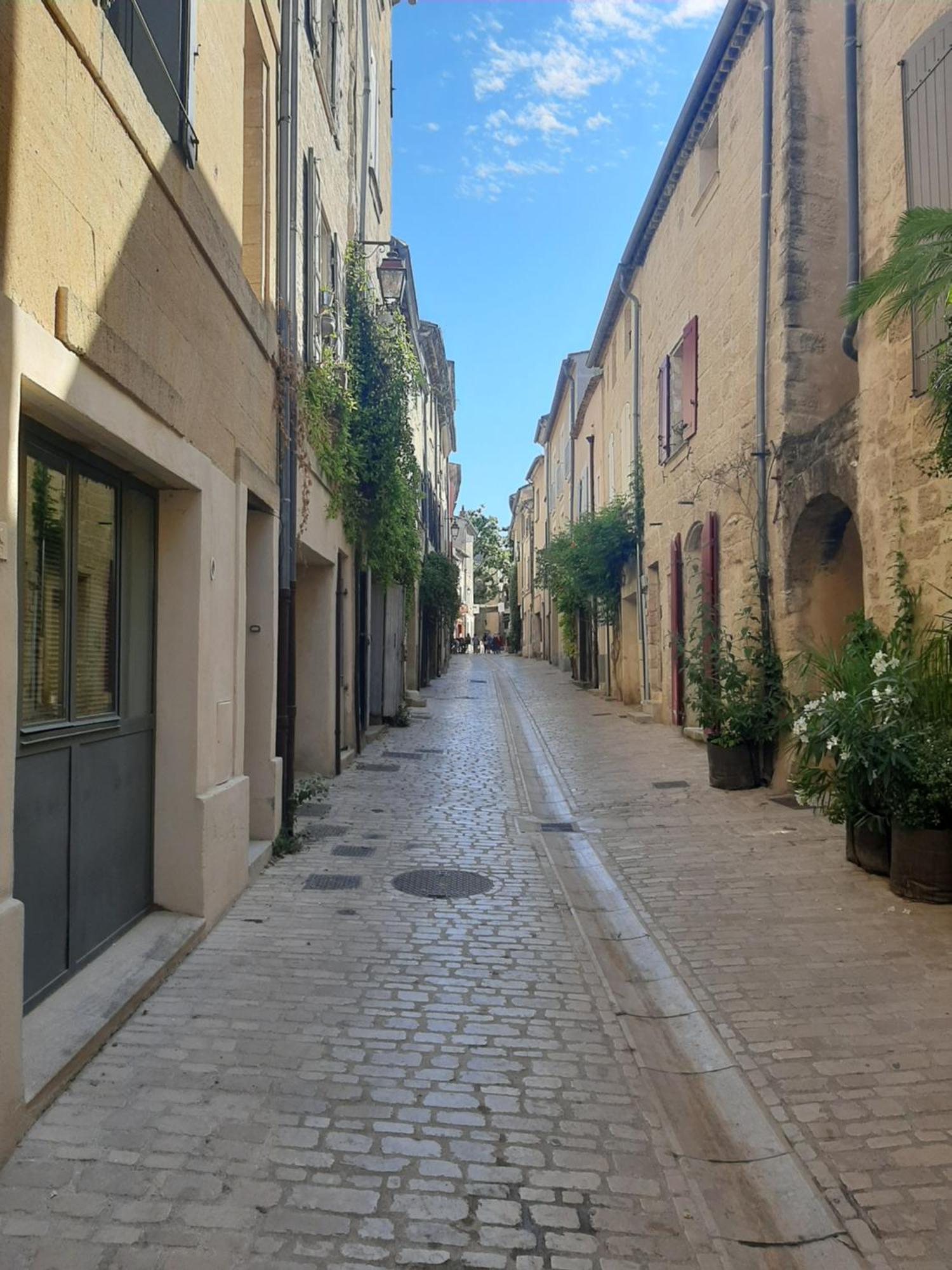 Avec Grand Jardin Et Parking, Apartment Uzes